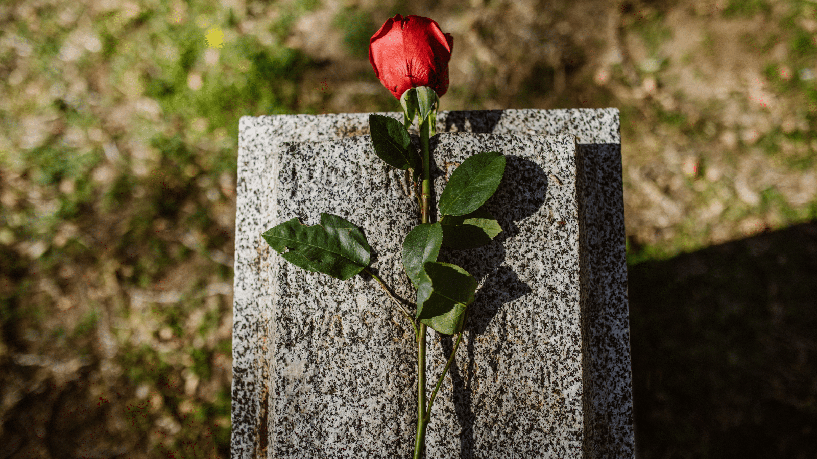 Who Gets Compensation in a Wrongful Death Lawsuit FAQ